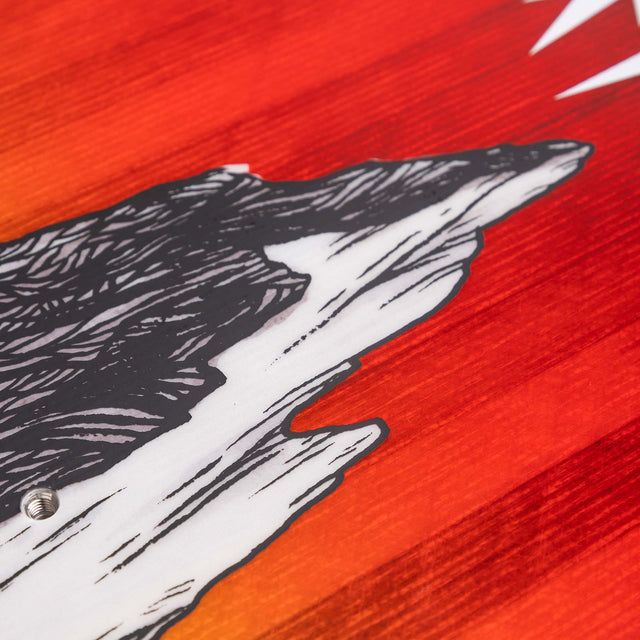 Jones Aviator 2.0 2024