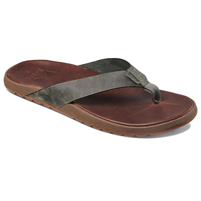 reef-contoured-voyage